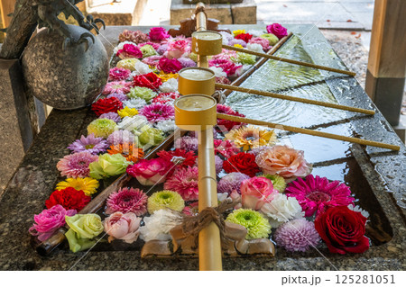 和心 花手水のおもてなし 和心 花手水のおもてなし 125281051