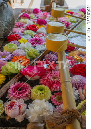 和心 花手水のおもてなし 和心 花手水のおもてなし 125281054
