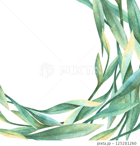 Green leaves spring template. Square botanical frame with ornate decor. Floral hand drawn floral watercolor. Perfect for romantic wedding theme, seasonal arrangement, greeting card, invitation 125281260