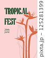 Tropical festival poster with stylized Strelitzia silhouette and vintage typography. Botanical design for summer event promo, announcement, social media or invitation. Trendy vector illustration 125281399