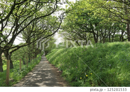 北アイルランド・ブッシュミルズのトレイルコース 125281533