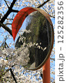 群馬県富岡市大塩ダム　カーブミラーに写る桜 125282356