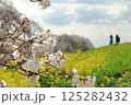 埼玉県熊谷市熊谷さくら祭　桜と菜の花のある風景 125282432