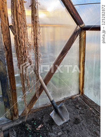 Inside a greenhouse, a shovel stands against a wooden framework, surrounded by dry plant hangers. Soil at the base suggests readiness for planting activities 125282872
