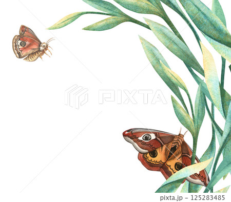 Summer botanical butterflies and green leaves horizontal template. Floral hand drawn watercolor frame with peacock butterfly and foliage. Perfect for seasonal themes, arrangement, wedding invitation Summer botanical butterflies and green leaves horizontal template. Floral hand drawn watercolor frame with peacock butterfly and foliage. Perfect for seasonal themes, arrangement, wedding invitation 125283485