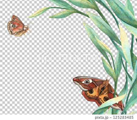 Summer botanical butterflies and green leaves horizontal template. Floral hand drawn watercolor frame with peacock butterfly and foliage. Perfect for seasonal themes, arrangement, wedding invitation Summer botanical butterflies and green leaves horizontal template. Floral hand drawn watercolor frame with peacock butterfly and foliage. Perfect for seasonal themes, arrangement, wedding invitation 125283485