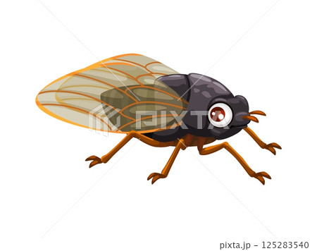 Cartoon cicada insect character with funny face and big googly eyes, vector personage. Cute cheerful cicada or small fly insect with adorable face for kids mascot or zoology cartoon character 125283540
