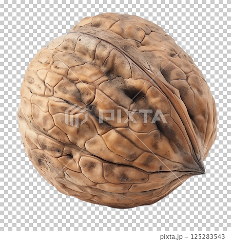 Whole walnut in shell isolated on transparent background close up detailed macro shot for food design and healthy eating 125283543