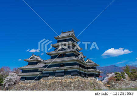 長野県松本市 春の青空に映える松本城天守閣 長野県松本市 春の青空に映える松本城天守閣 125283682