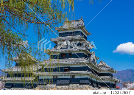 長野県松本市　春の青空に映える松本城天守閣 125283687