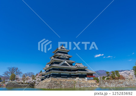 長野県松本市　春の青空に映える松本城天守閣 125283692