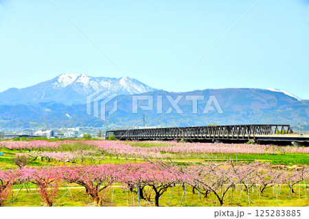 村山橋／千曲川付近より長野市街地、飯縄山方面を望む(長野県長野市)【2025.4】 125283885