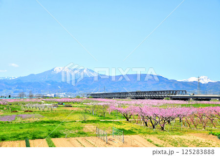 村山橋／千曲川付近より長野市街地、飯縄山方面を望む(長野県長野市)【2025.4】 125283888