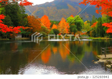 秋の金鱗湖（由布市湯布院町） 125283941