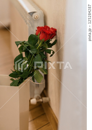 A single vibrant red rose placed in a white paper cup leaning against a textured radiator in a warmly lit interior setting exuding a sense of melancholy and delicate beauty A single vibrant red rose placed in a white paper cup leaning against a textured radiator in a warmly lit interior setting exuding a sense of melancholy and delicate beauty 125284287