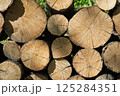 Detailed texture of tree trunks in woodpile 125284351