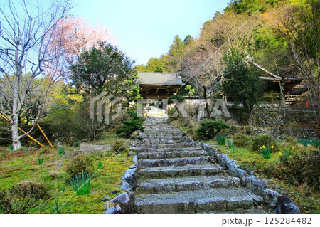 天狗さんを御祀りする神社『賀蘇山神社』 天狗さんを御祀りする神社『賀蘇山神社』 125284482