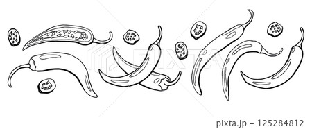Hand Drawn Chili Pepper Set Vector Illustration Hand Drawn Chili Pepper Set Vector Illustration 125284812
