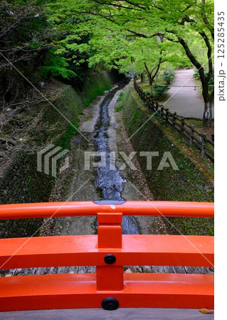 新緑の御土居と鶯橋 125285435