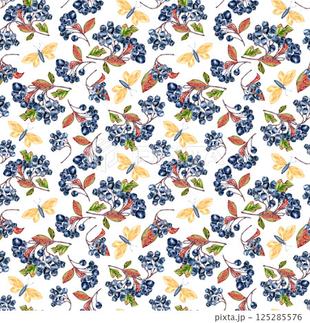 Black chokeberry berries and foliage in seamless watercolor pattern isolated. Aronia plants and butterflies hand drawn on repeat background for fabric, stationery, wallpaper, and rustic packaging. Black chokeberry berries and foliage in seamless watercolor pattern isolated. Aronia plants and butterflies hand drawn on repeat background for fabric, stationery, wallpaper, and rustic packaging. 125285576