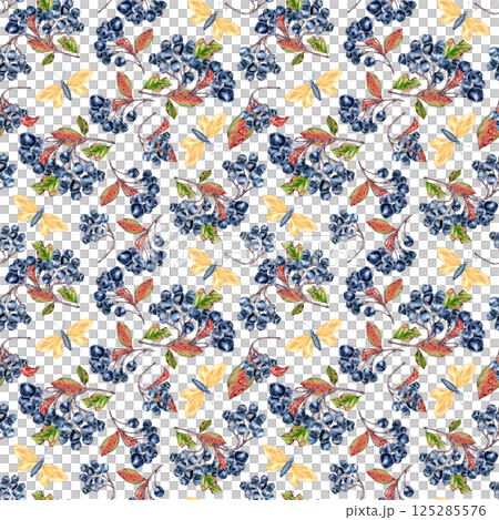 Black chokeberry berries and foliage in seamless watercolor pattern isolated. Aronia plants and butterflies hand drawn on repeat background for fabric, stationery, wallpaper, and rustic packaging. Black chokeberry berries and foliage in seamless watercolor pattern isolated. Aronia plants and butterflies hand drawn on repeat background for fabric, stationery, wallpaper, and rustic packaging. 125285576