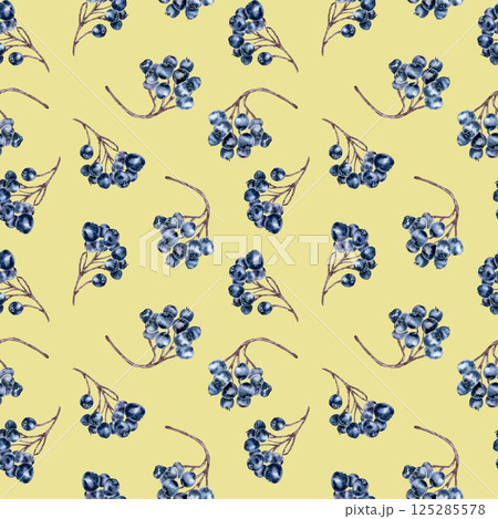 Hand painted seamless chokeberry pattern of dark aronia berries on branches isolated on beige. Botanical texture with purple berries cluster for ceramic design, print, and seasonal digital backgrounds Hand painted seamless chokeberry pattern of dark aronia berries on branches isolated on beige. Botanical texture with purple berries cluster for ceramic design, print, and seasonal digital backgrounds 125285578