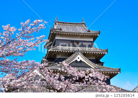 春　桜　松本城 125285614