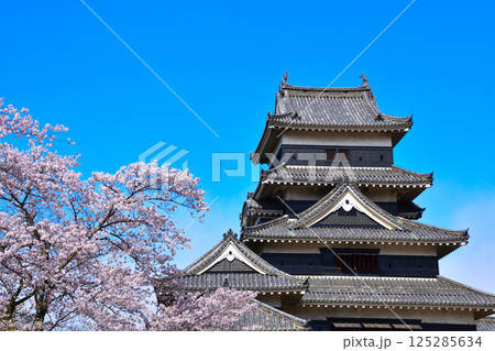 春　桜　松本城 125285634