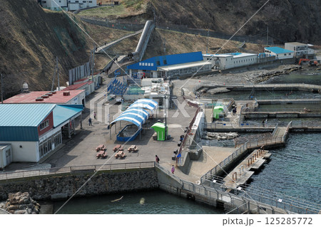 小樽 おたる水族館の海獣公園 小樽 おたる水族館の海獣公園 125285772