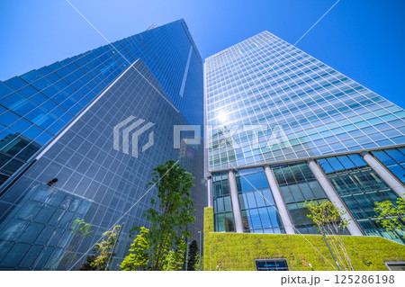 日本の東京都市景観　春の光…虎ノ門ヒルズステーションタワー（虎ノ門ヒルズ駅）横に港区立明舟公園誕生 125286198