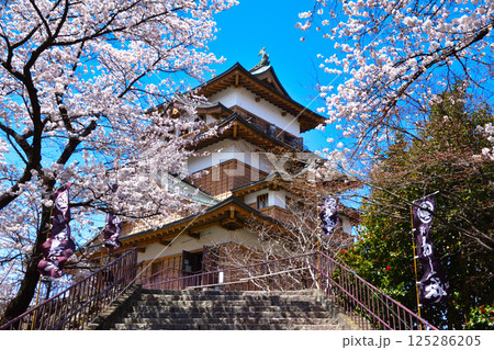 春　桜　諏訪高島城 125286205
