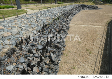 宇治川太閤堤跡 125286218