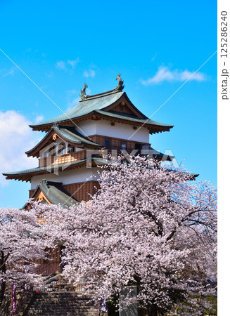 春 桜 諏訪高島城 春 桜 諏訪高島城 125286240