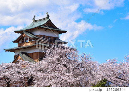 春 桜 諏訪高島城 春 桜 諏訪高島城 125286344