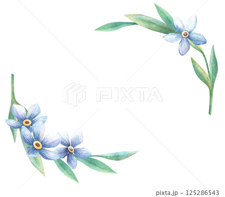 Forget-me-not blossom horizontal template. Floral spring watercolor frame of blue flowers myosotis twig. Perfect for romantic, botanical themes, vintage banner, seasonal greeting card, retro postcard Forget-me-not blossom horizontal template. Floral spring watercolor frame of blue flowers myosotis twig. Perfect for romantic, botanical themes, vintage banner, seasonal greeting card, retro postcard 125286543