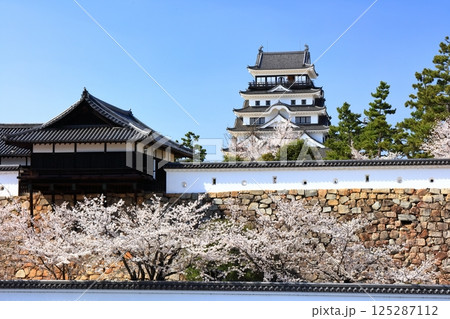 【広島県】桜咲く春の福山城（復興後）福山城桜まつり 125287112