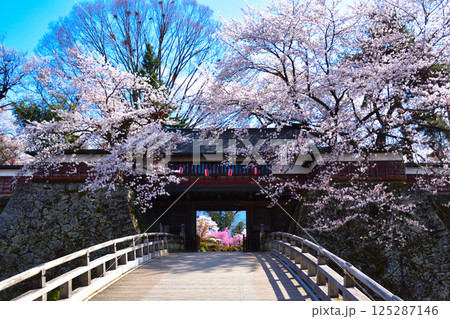春 桜 諏訪高島城 冠木門 春 桜 諏訪高島城 冠木門 125287146