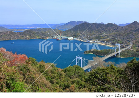 【愛媛県】桜咲く春のカレイ山展望公園から眺めた 大島大橋（しまなみ海道） 125287237