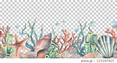 Seashells, seaweed, starfish, corals, sea sponges and pebbles, bubbles. Marine watercolor illustration of the underwater world drawn by hand. Seamless pattern border isolated from the background. 125287425