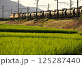 夏の田園地帯を走る貨物列車 125287440