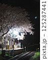 夜に咲く桜と無人駅 125287441
