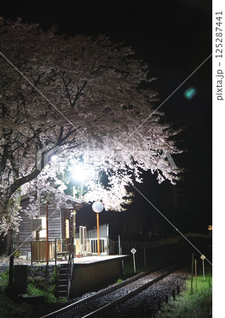 夜に咲く桜と無人駅 125287441