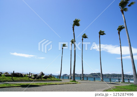 逗子市　小坪飯島公園からの風景 125287496