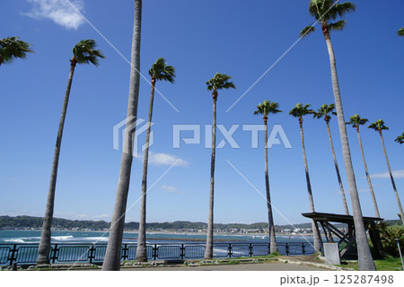 逗子市　小坪飯島公園からの風景 125287498