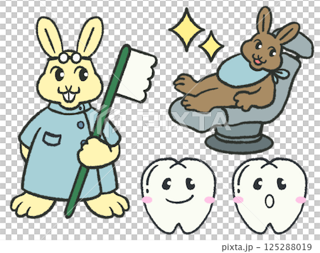 Rabbit dentist 125288019