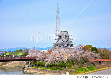 《岐阜県》春の墨俣一夜城と満開の桜 《岐阜県》春の墨俣一夜城と満開の桜 125288385