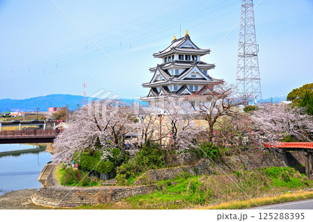 《岐阜県》春の墨俣一夜城と満開の桜 《岐阜県》春の墨俣一夜城と満開の桜 125288395