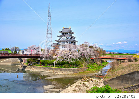 《岐阜県》春の墨俣一夜城と満開の桜 《岐阜県》春の墨俣一夜城と満開の桜 125288403