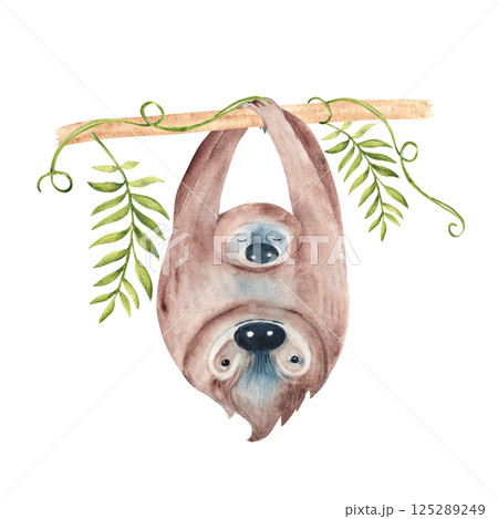 Sloth Family. Baby and father sloth hanging on Liana branch with tropical leaves. Happy Fathers day. Watercolor painting of cute wild animals isolated on white background. For kids cards and posters Sloth Family. Baby and father sloth hanging on Liana branch with tropical leaves. Happy Fathers day. Watercolor painting of cute wild animals isolated on white background. For kids cards and posters 125289249