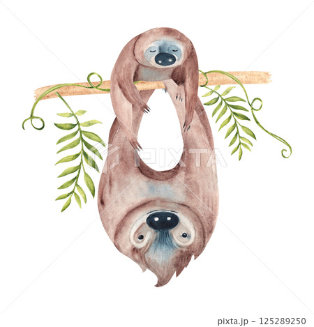 Sloth Family. Baby and father sloth hanging on Liana branch with tropical leaves. Watercolor painting of cute wild animals isolated on white background. Happy Fathers day. For kids cards and posters Sloth Family. Baby and father sloth hanging on Liana branch with tropical leaves. Watercolor painting of cute wild animals isolated on white background. Happy Fathers day. For kids cards and posters 125289250